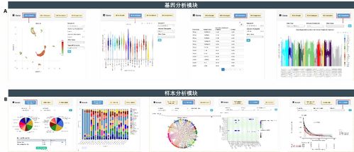 癌癥單細胞表達圖譜數(shù)據(jù)庫CancerSCEM的發(fā)布與數(shù)據(jù)處理流程解析